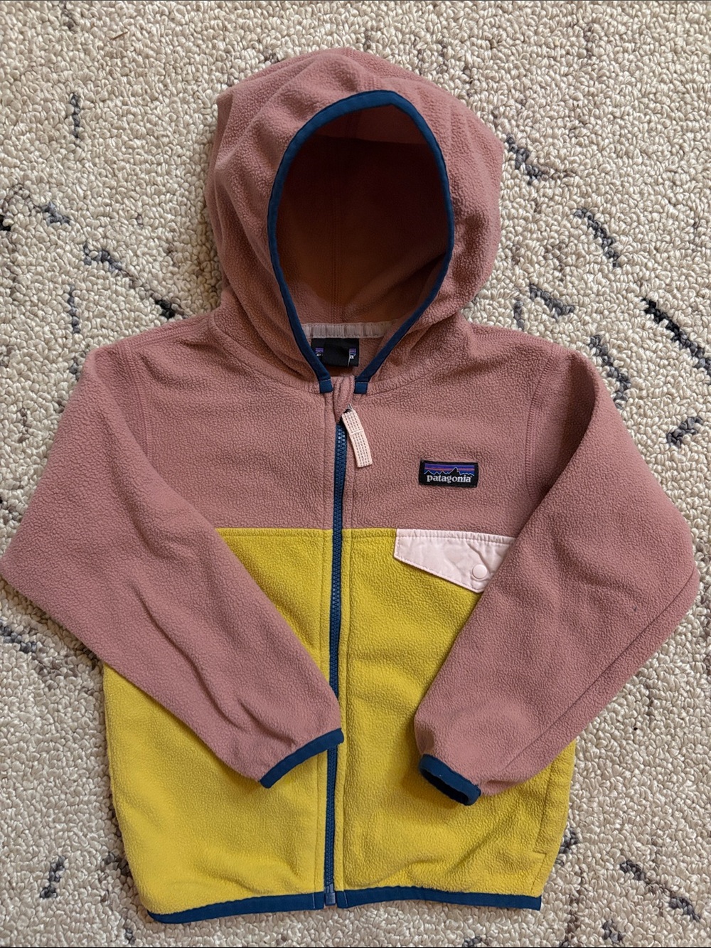 Patagonia Kids Fleece Jacket (3T) EUC